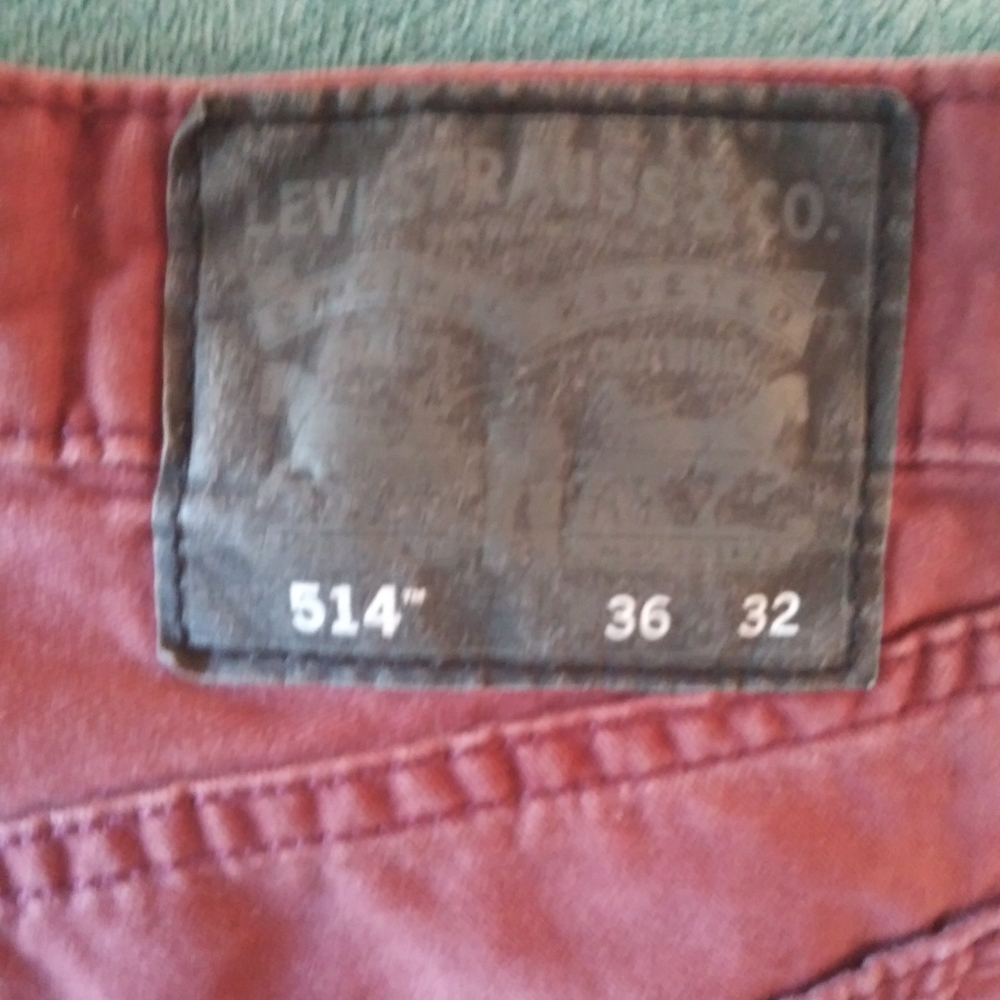 Mens levis